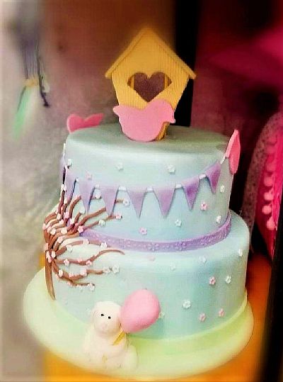 ΤΟΥΡΤΑ 3D 2ΟΡΟΦΗ ΛΑΓΟΥΔΑΚΗ