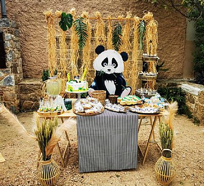 ΘΕΜΑ ΤΟ PANDA