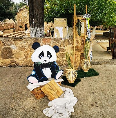 ΘΕΜΑ ΤΟ PANDA