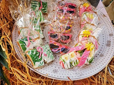 ΘΕΜΑ ALOHA ΚΟΡΙΤΣΙ