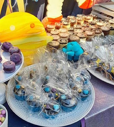 ΘΕΜΑ ΤΟ ΔΙΑΣΤΗΜΑ