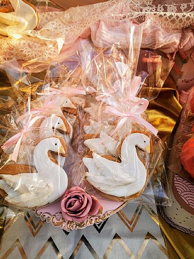 ΘΕΜΑ ΤΟΝ ΚΥΚΝΟ