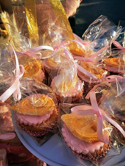 ΘΕΜΑ ΤΟΝ ΚΥΚΝΟ