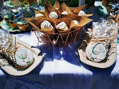 ΘΕΜΑ ΑΕΡΟΣΤΑΤΟ ΣΕ ΜΕΝΤΑ ΑΠΟΧΡΩΣΗ