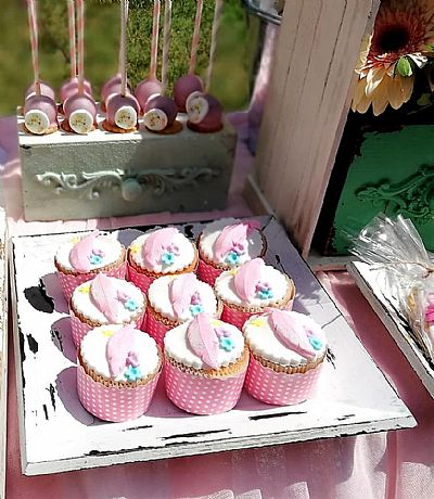 ΘΕΜΑ ΑΛΕΠΟΥΔΙΤΣΑ