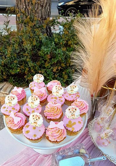 ΘΕΜΑ ΛΕΟΠΑΡΔΑΛΗ